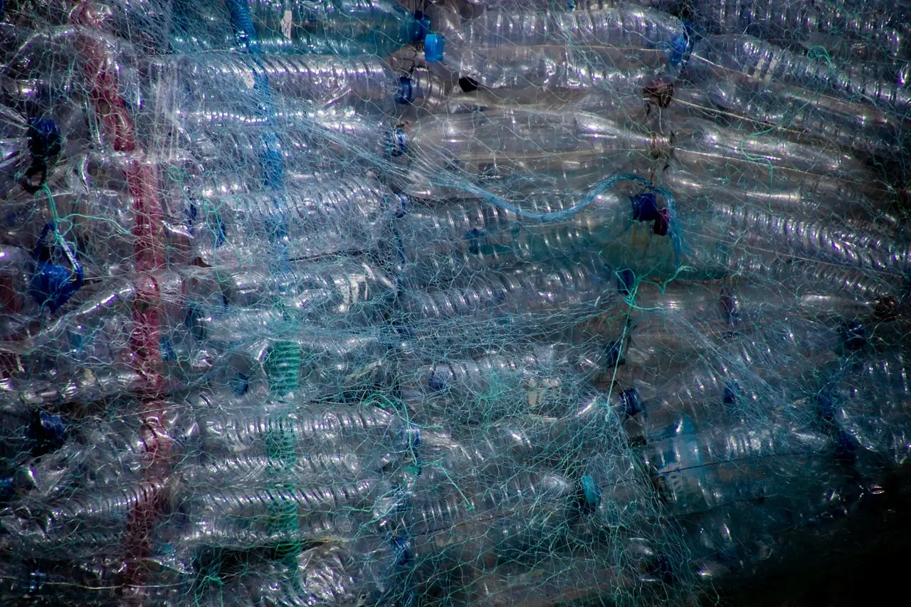 Waste Collection Software for Recycling Centres: The Complete UK Operator's Guide