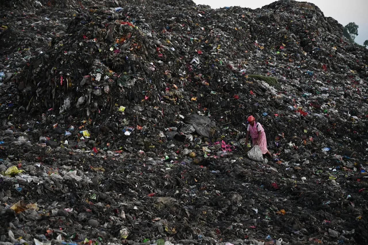 Waste Collection Business Software: The Complete Guide for UK Operators